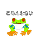 アカメアマガエルの日常（個別スタンプ：4）