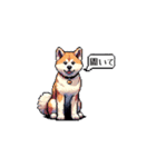 ⚫秋田犬 ［ドット絵］（個別スタンプ：1）