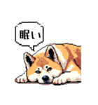 ⚫秋田犬 ［ドット絵］（個別スタンプ：3）