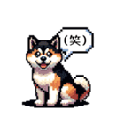 ⚫秋田犬 ［ドット絵］（個別スタンプ：5）