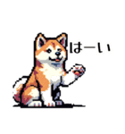 ⚫秋田犬 ［ドット絵］（個別スタンプ：6）