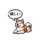 ⚫秋田犬 ［ドット絵］（個別スタンプ：7）