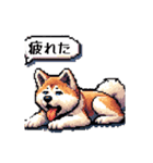 ⚫秋田犬 ［ドット絵］（個別スタンプ：8）