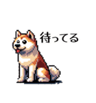 ⚫秋田犬 ［ドット絵］（個別スタンプ：10）