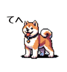 ⚫秋田犬 ［ドット絵］（個別スタンプ：11）