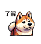 ⚫秋田犬 ［ドット絵］（個別スタンプ：13）