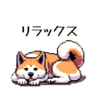 ⚫秋田犬 ［ドット絵］（個別スタンプ：14）