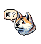 ⚫秋田犬 ［ドット絵］（個別スタンプ：16）