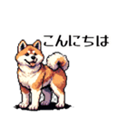 ⚫秋田犬 ［ドット絵］（個別スタンプ：22）