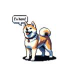 ⚫秋田犬 ［ドット絵］（個別スタンプ：24）