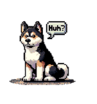 ⚫秋田犬 ［ドット絵］（個別スタンプ：25）