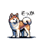 ⚫秋田犬 ［ドット絵］（個別スタンプ：28）