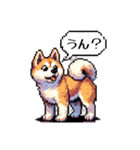 ⚫秋田犬 ［ドット絵］（個別スタンプ：30）