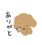 まいにちゴールデンレトリバー（個別スタンプ：30）
