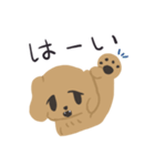 まいにちゴールデンレトリバー（個別スタンプ：31）