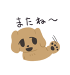 まいにちゴールデンレトリバー（個別スタンプ：39）