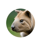 カピバラ capybara（個別スタンプ：3）