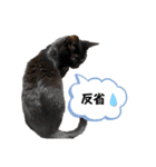 黒猫時々茶白の日常スタンプ2（個別スタンプ：7）