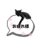 黒猫時々茶白の日常スタンプ2（個別スタンプ：9）