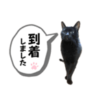 黒猫時々茶白の日常スタンプ2（個別スタンプ：12）