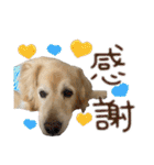 レイシス☆にこめ（個別スタンプ：7）