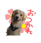 レイシス☆にこめ（個別スタンプ：23）