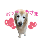 レイシス☆にこめ（個別スタンプ：32）
