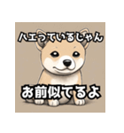 キレる柴犬のスタンプ（個別スタンプ：5）