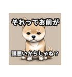 キレる柴犬のスタンプ（個別スタンプ：14）