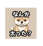 キレる柴犬のスタンプ（個別スタンプ：20）