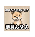 キレる柴犬のスタンプ（個別スタンプ：29）