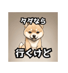 キレる柴犬のスタンプ（個別スタンプ：31）