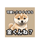 キレる柴犬のスタンプ（個別スタンプ：39）