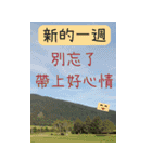 特大文字/厳選/日常/生活（個別スタンプ：2）