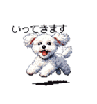 日常 ドット絵 マルチーズ プードル 40種（個別スタンプ：2）