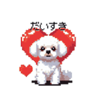 日常 ドット絵 マルチーズ プードル 40種（個別スタンプ：10）