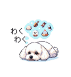 日常 ドット絵 マルチーズ プードル 40種（個別スタンプ：11）