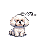 日常 ドット絵 マルチーズ プードル 40種（個別スタンプ：15）