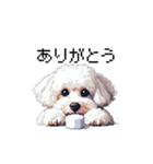 日常 ドット絵 マルチーズ プードル 40種（個別スタンプ：23）