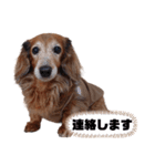 めりんぷ⑥（個別スタンプ：9）