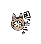 【日常】猫スタンプ Ver.1（個別スタンプ：11）
