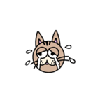 【日常】猫スタンプ Ver.1（個別スタンプ：14）