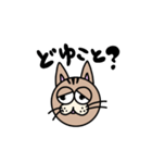 【日常】猫スタンプ Ver.1（個別スタンプ：19）