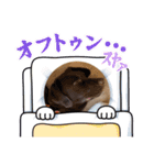 きなこ＆るー（個別スタンプ：20）