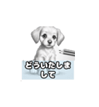 犬のスタンプ 40-1（個別スタンプ：15）