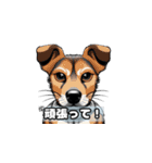 犬のスタンプ 40-1（個別スタンプ：35）