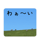 北海道の大好きな景色（個別スタンプ：11）