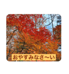 北海道の大好きな景色（個別スタンプ：24）