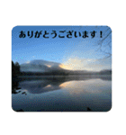 北海道の大好きな景色（個別スタンプ：38）