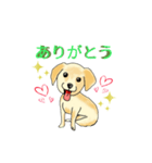 HAYATO-TAKACHOJI お犬のスタンプ 壱（個別スタンプ：2）